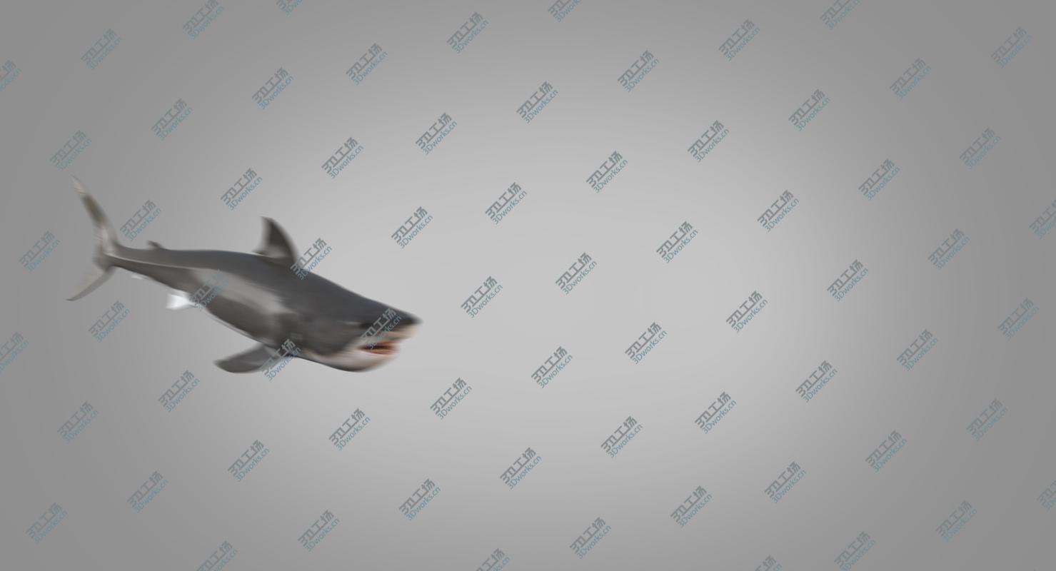 images/goods_img/202105074/3D White Shark Animated/4.jpg